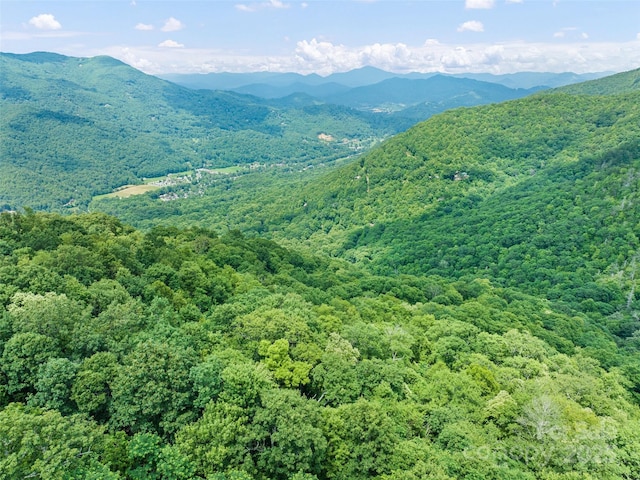 201 Chickadee Ln, Maggie Valley, NC 28751 - photo 2