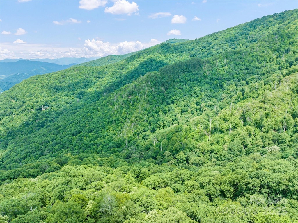 201 Chickadee Ln, Maggie Valley, NC 28751 - photo 3