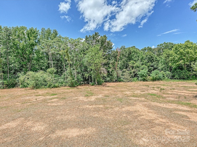 280 Old Pinckney Rd, York, SC 29745 - photo 18