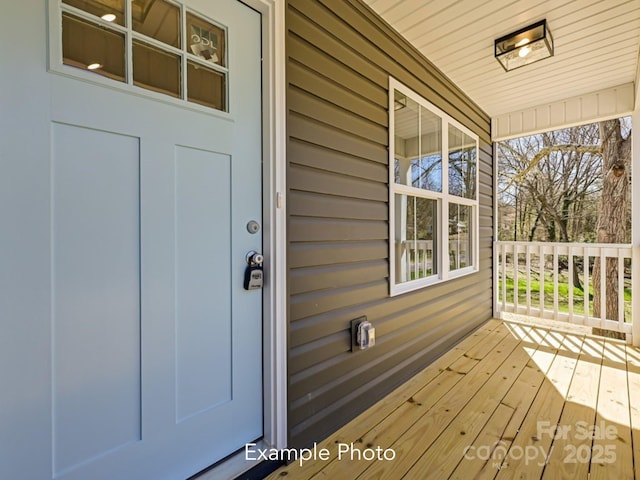 246 Old Pinckney Rd, York, SC 29745 - photo 2