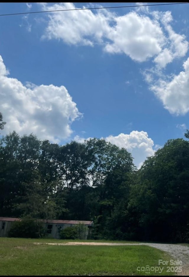 576 Morrow Motor Rd, Forest City, NC 28043 - view of green lawn