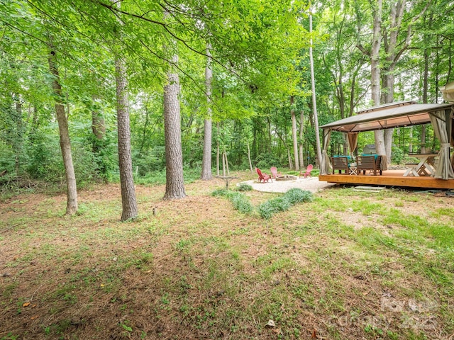 3102 Peggy Ridge Ter, Matthews, NC 28105 - photo 47