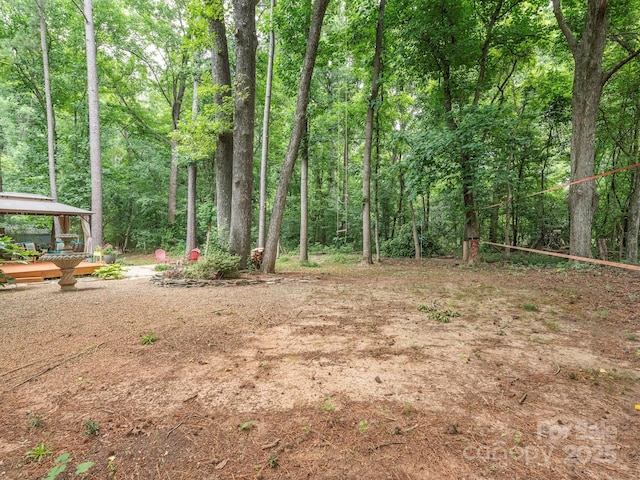 3102 Peggy Ridge Ter, Matthews, NC 28105 - photo 48