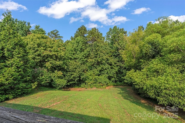 6734 Thistle Down Dr, Harrisburg, NC 28075 - photo 16