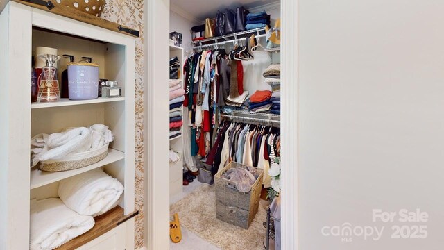 304 Sowers Ferry Rd, Salisbury, NC 28144 - view of walk in closet