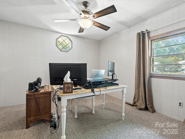 2212 Jb Denton Rd, Lancaster, SC 29720 - home office featuring plenty of natural light, carpet floors, ceiling fan, a textured ceiling, and wood walls