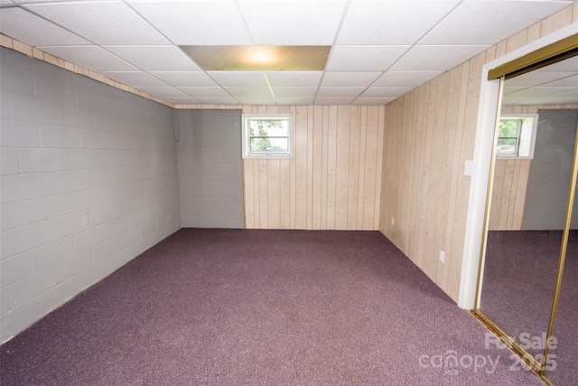 224 Mountain View Rd, Statesville, NC 28625 - below grade area with a paneled ceiling, carpet, and wooden walls