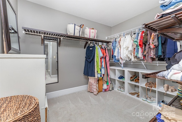 10329 Hollybrook Dr, Charlotte, NC 28277 - photo 27