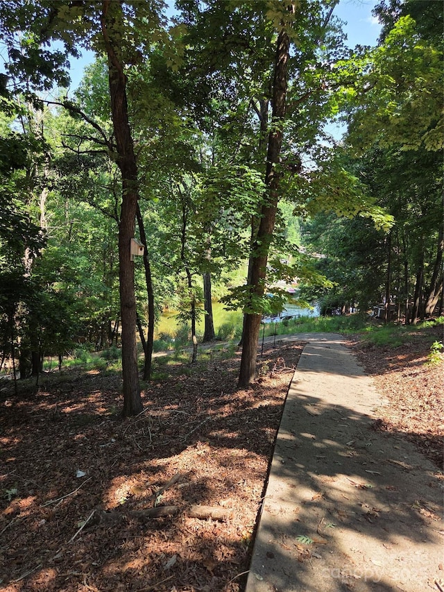 3110 Point Clear Dr Unit 110 115, Tega Cay, SC 29708 - photo 5