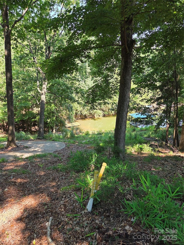 3110 Point Clear Dr Unit 110 115, Tega Cay, SC 29708 - photo 6