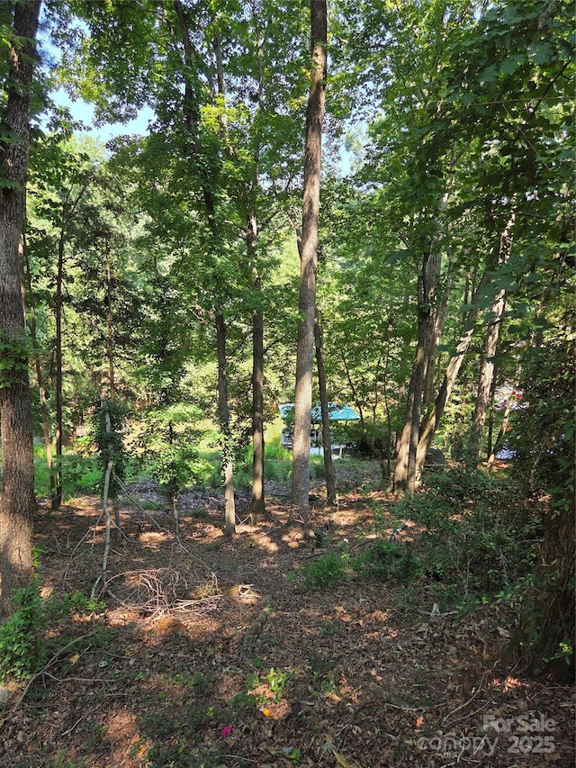 3110 Point Clear Dr Unit 110 115, Tega Cay, SC 29708 - photo 7