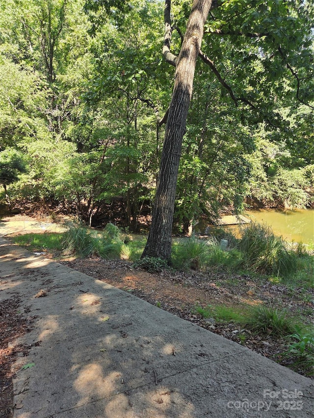 3110 Point Clear Dr Unit 110 115, Tega Cay, SC 29708 - photo 8