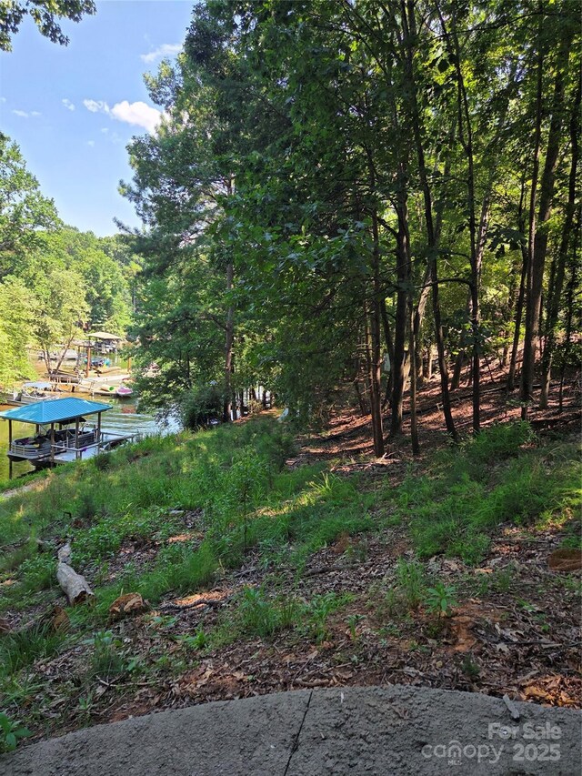3110 Point Clear Dr Unit 110 115, Tega Cay, SC 29708 - photo 9