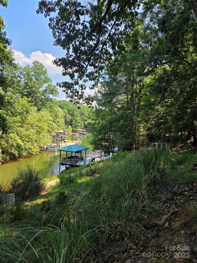 3110 Point Clear Dr Unit 110 115, Tega Cay, SC 29708 - photo 11