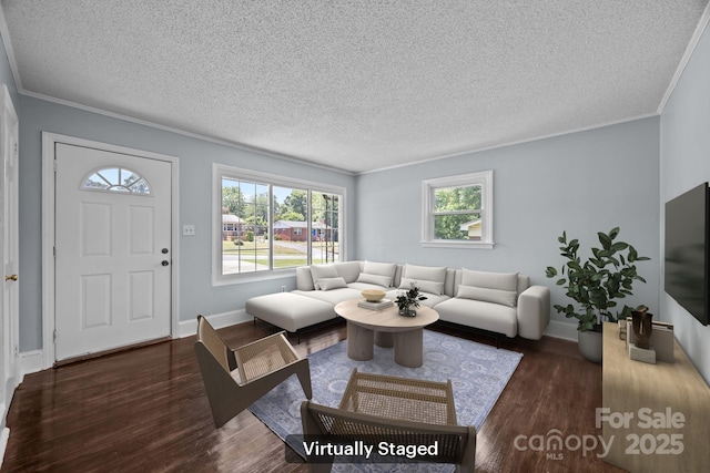 3422 Dublin Rd, Charlotte, NC 28208 - living area with wood finished floors, crown molding, and a textured ceiling