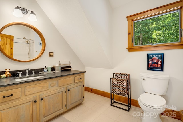 492 Henry Mountain Rd, Brevard, NC 28712 - bathroom featuring vanity, a shower, and vaulted ceiling