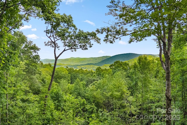 492 Henry Mountain Rd, Brevard, NC 28712 - mountain view with a forest