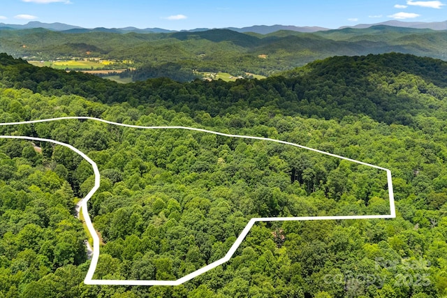 492 Henry Mountain Rd, Brevard, NC 28712 - aerial view of property and surrounding area featuring a forest and property parcel outlined