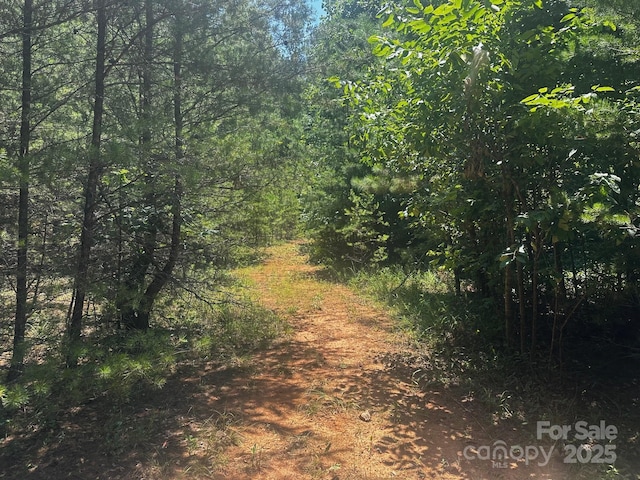 0000 Quail Hill Dr, Rutherfordton, NC 28139 - photo 1