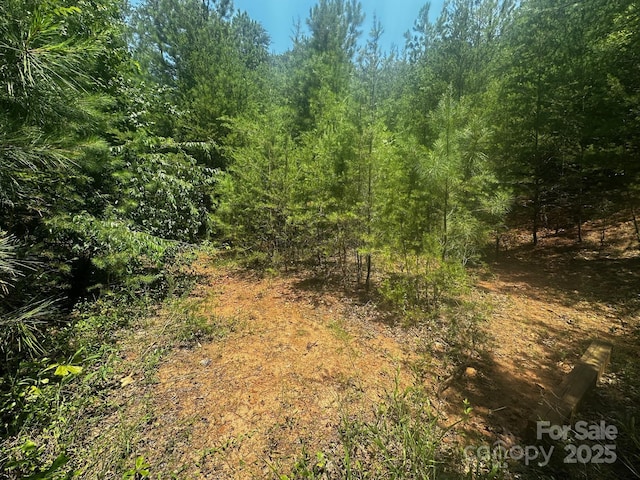 0000 Quail Hill Dr, Rutherfordton, NC 28139 - photo 2