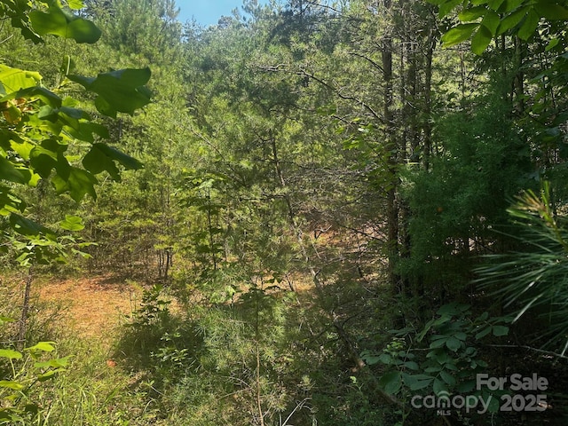 0000 Quail Hill Dr, Rutherfordton, NC 28139 - photo 3