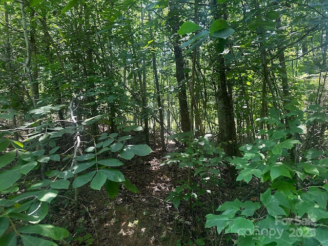 0000 Quail Hill Dr, Rutherfordton, NC 28139 - photo 4