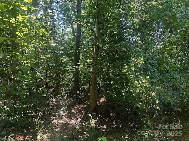 0000 Quail Hill Dr, Rutherfordton, NC 28139 - photo 5