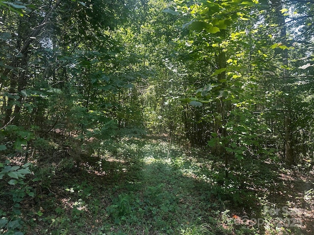 0000 Quail Hill Dr, Rutherfordton, NC 28139 - photo 6