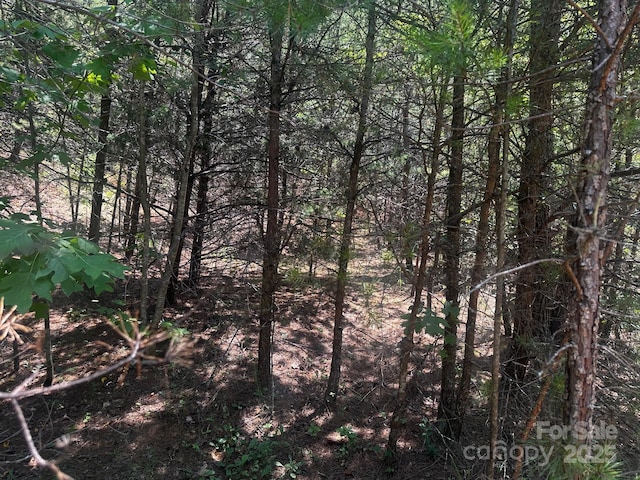 0000 Quail Hill Dr, Rutherfordton, NC 28139 - photo 7