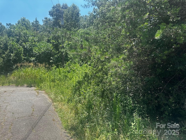 0000 Quail Hill Dr, Rutherfordton, NC 28139 - photo 8