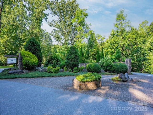 611 Falkirk Way, Zirconia, NC 28790