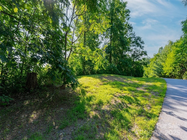 611 Falkirk Way, Zirconia, NC 28790