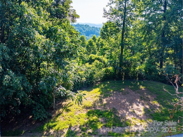 611 Falkirk Way, Zirconia, NC 28790