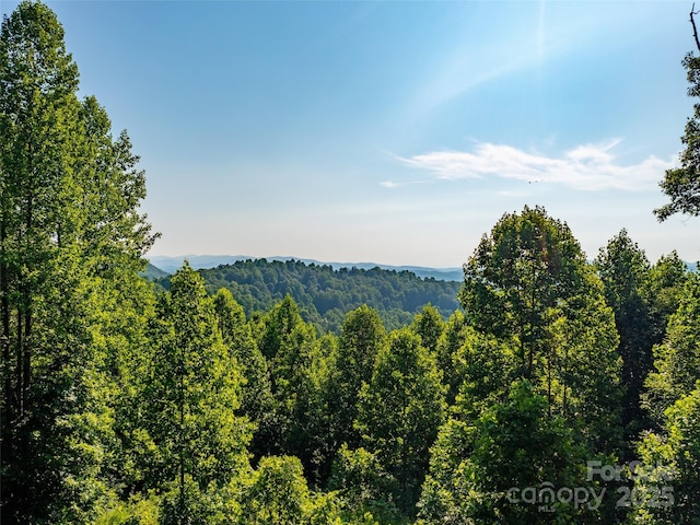 611 Falkirk Way, Zirconia, NC 28790