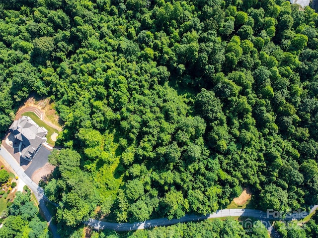 611 Falkirk Way, Zirconia, NC 28790