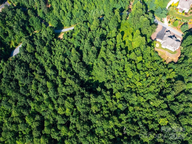 611 Falkirk Way, Zirconia, NC 28790
