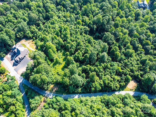 611 Falkirk Way, Zirconia, NC 28790