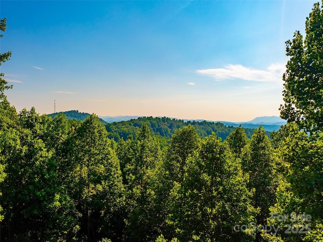 611 Falkirk Way, Zirconia, NC 28790