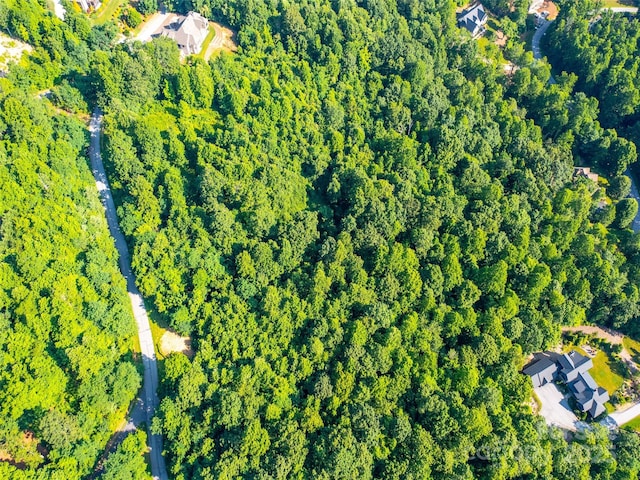 611 Falkirk Way, Zirconia, NC 28790