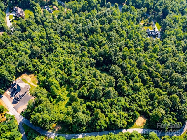 611 Falkirk Way, Zirconia, NC 28790