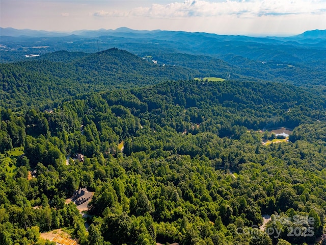 611 Falkirk Way, Zirconia, NC 28790