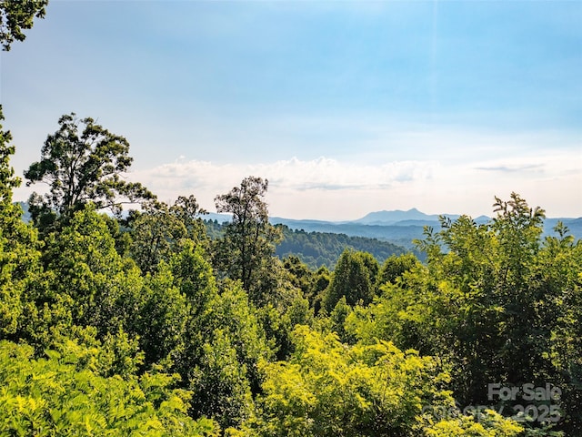 611 Falkirk Way, Zirconia, NC 28790