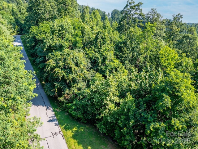 611 Falkirk Way, Zirconia, NC 28790