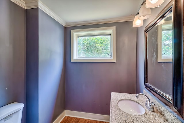315 E Marion St, Kershaw, SC 29067 - half bath featuring vanity, ornamental molding, and wood finished floors