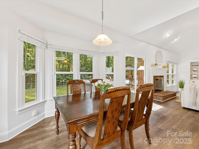 10527 Breamore Dr, Charlotte, NC 28270 - dining room with lofted ceiling, wood finished floors, healthy amount of natural light, and a fireplace