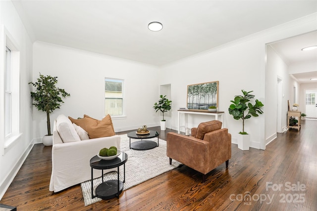 617 N Juniper Ave, Kannapolis, NC 28081 - living area with dark wood-style flooring and crown molding