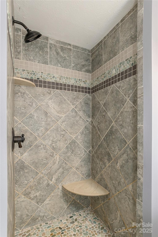 18 Peaceful Valley Ln, Flat Rock, NC 28731 - bathroom featuring tiled shower