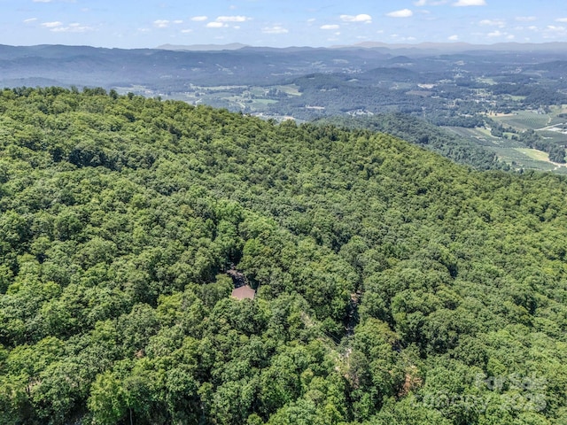 291 Pine Ridge Rd, Hendersonville, NC 28792 - drone / aerial view of a mountainous background