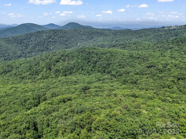 291 Pine Ridge Rd, Hendersonville, NC 28792 - view of mountain backdrop featuring a heavily wooded area