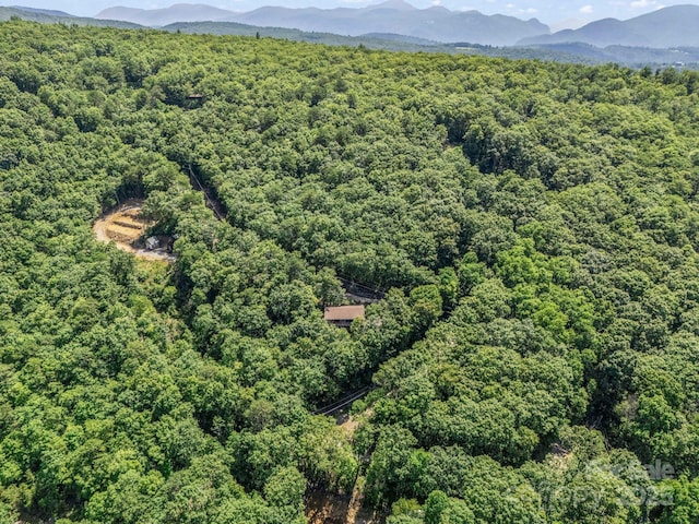 291 Pine Ridge Rd, Hendersonville, NC 28792 - bird's eye view of a forest